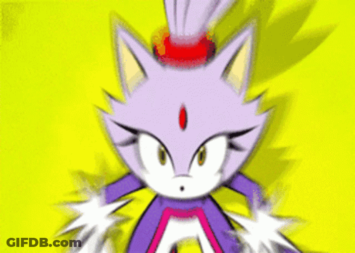 Alarmed Blaze The Cat GIF