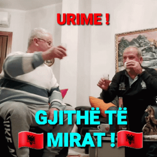 Albania Drinking Cheers GIF