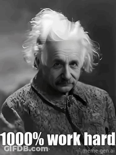Albert Einstein Black And White 1000% Work Hard GIF