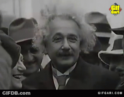 Albert Einstein Black And White GIF