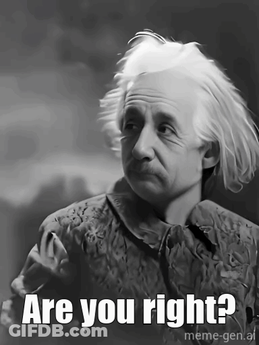 Albert Einstein Black And White Caption Are You Right? GIF