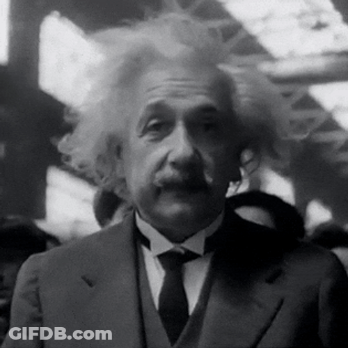 Albert Einstein Black White Face GIF