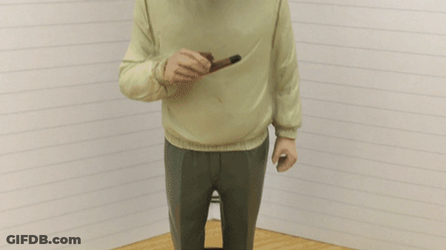 Albert Einstein Bubblehead GIF