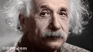 Albert Einstein Close Up Gray Hair Mustache GIF
