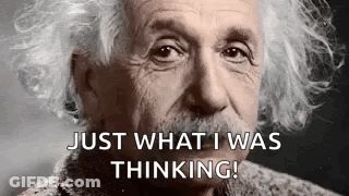 Albert Einstein Gray Hair Mustache GIF