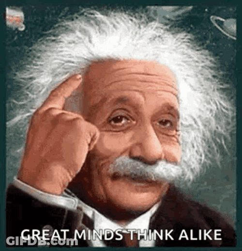 Albert Einstein Great Minds Think Alike GIF