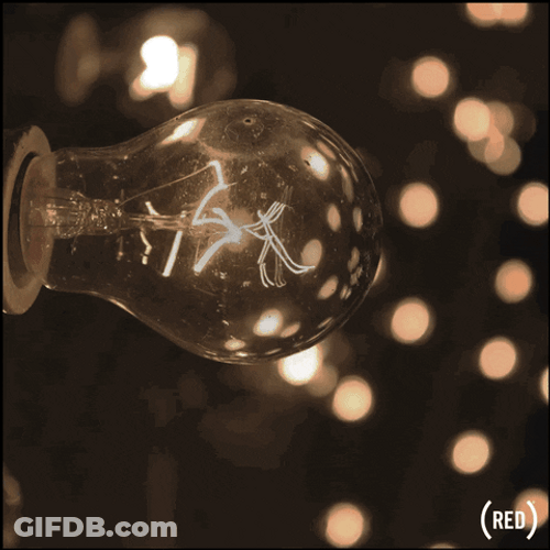 Albert Einstein Never Fail GIF