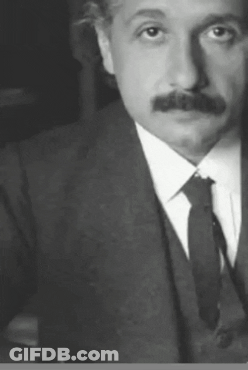 Albert Einstein Photos GIF