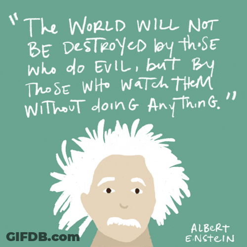 Albert Einstein Quote GIF