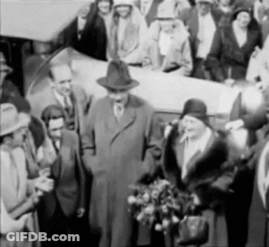 Albert Einstein Removes Hat GIF