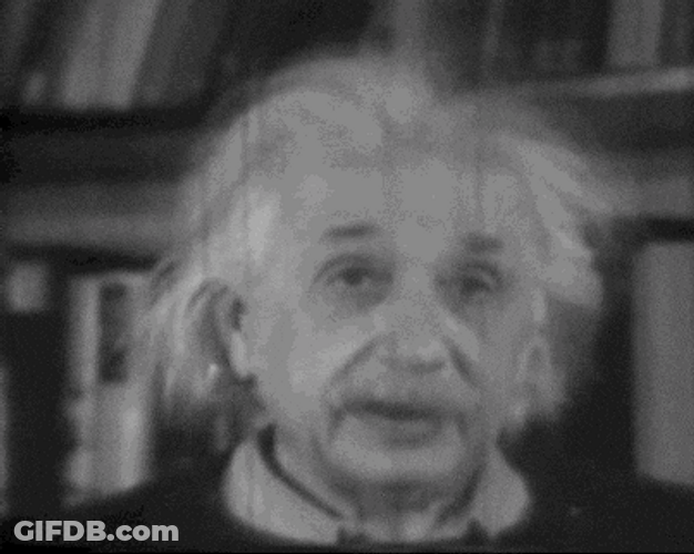 Albert Einstein Speaking With Someone GIF