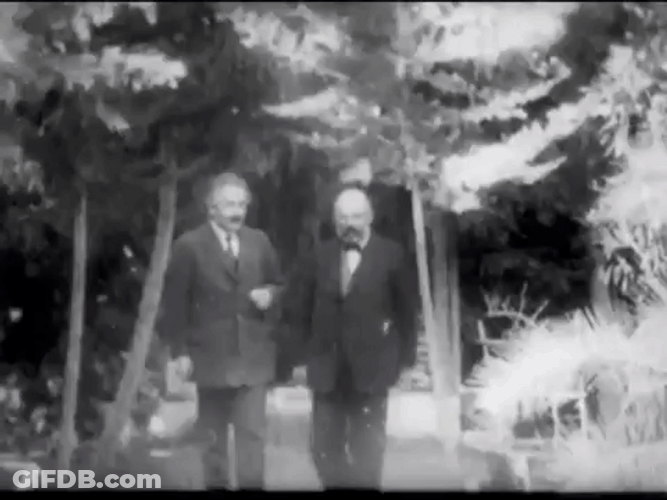 Albert Einstein Walking GIF