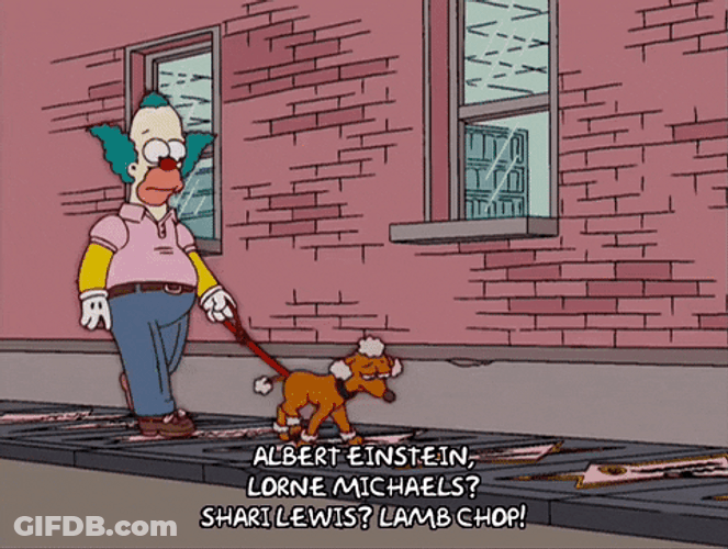 Albert Einstein Walking Dog GIF