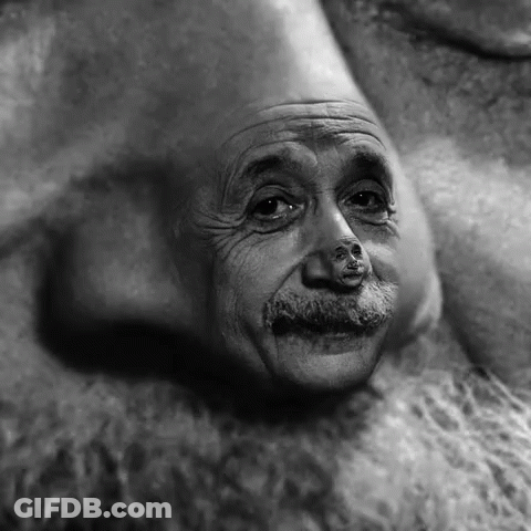 Albert Einstein With Bear Nose GIF
