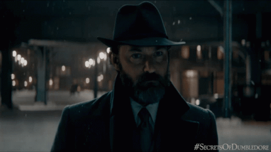 Albus Dumbledore Fantastic Beasts: The Secrets Of Dumbledore. GIF