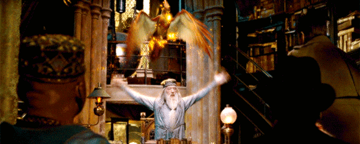 Albus Dumbledore Phoenix GIF