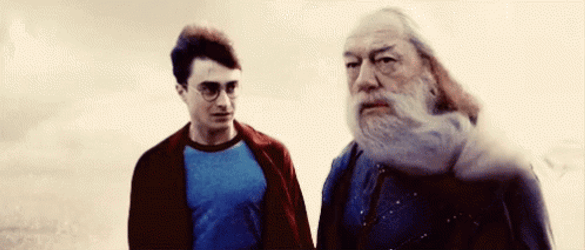 Albus Dumbledore With Harry Potter GIF