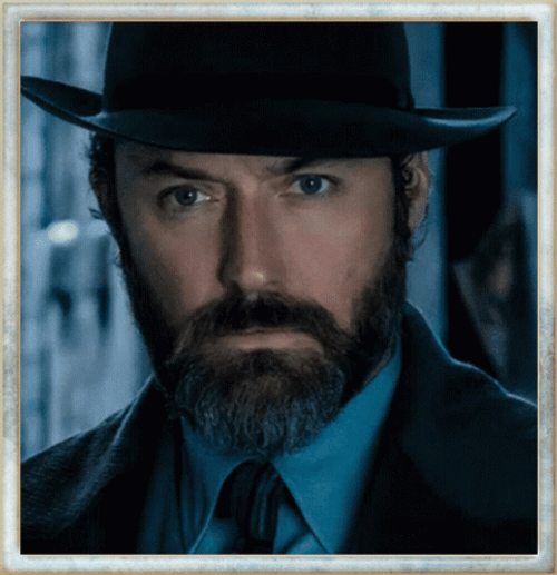 Albus Dumbledore Young And Old GIF