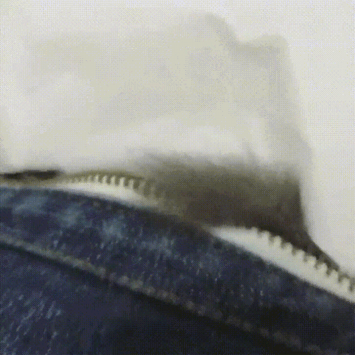 Alert Sugar Glider What's That GIF