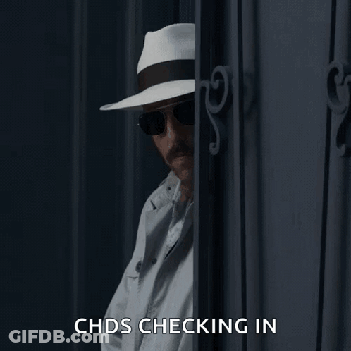 Alerted Fox GIF