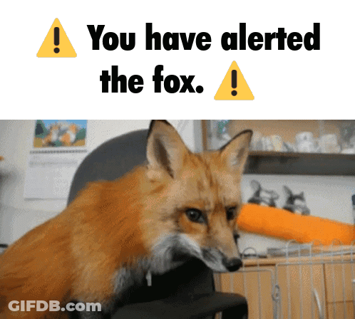 Alerted Fox With Words GIF