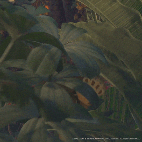Alex Cast Away On Madagascar GIF