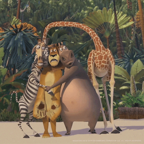 Alex Marty Gloria Melman Cast Away On Madagascar GIF