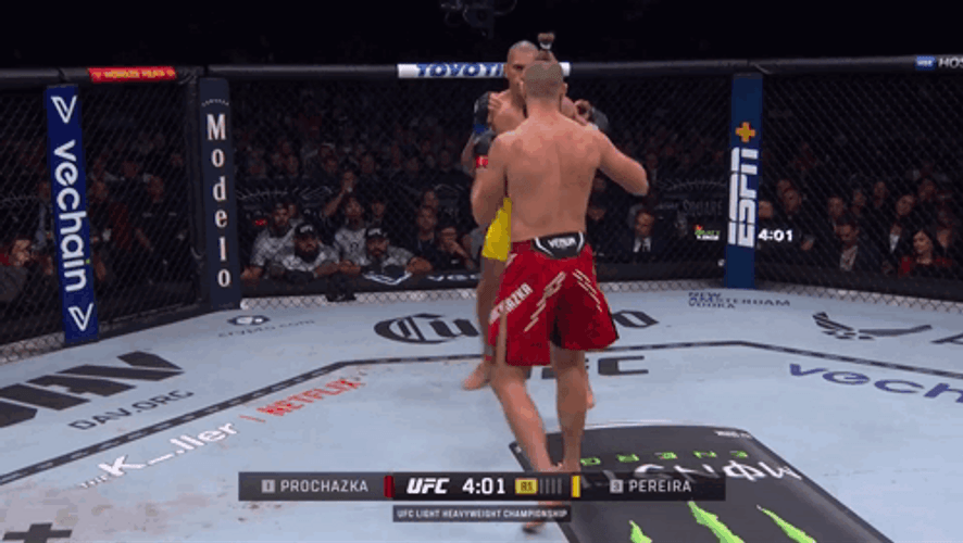 Alex Pereira And Jiří Procházka Match GIF