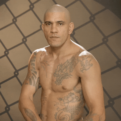 Alex Pereira Arrow Effect GIF