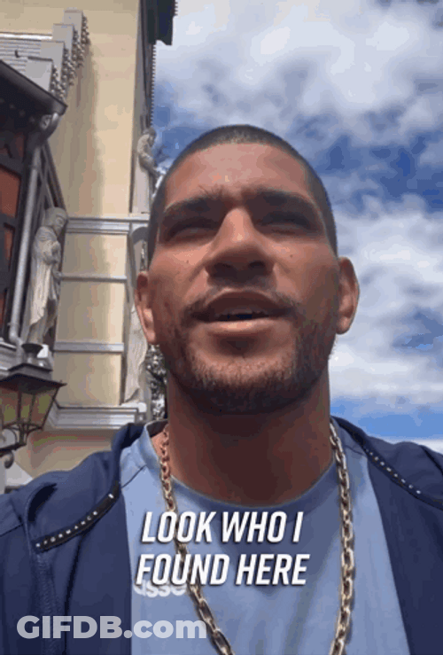Alex Pereira Look Who I Found Here GIF
