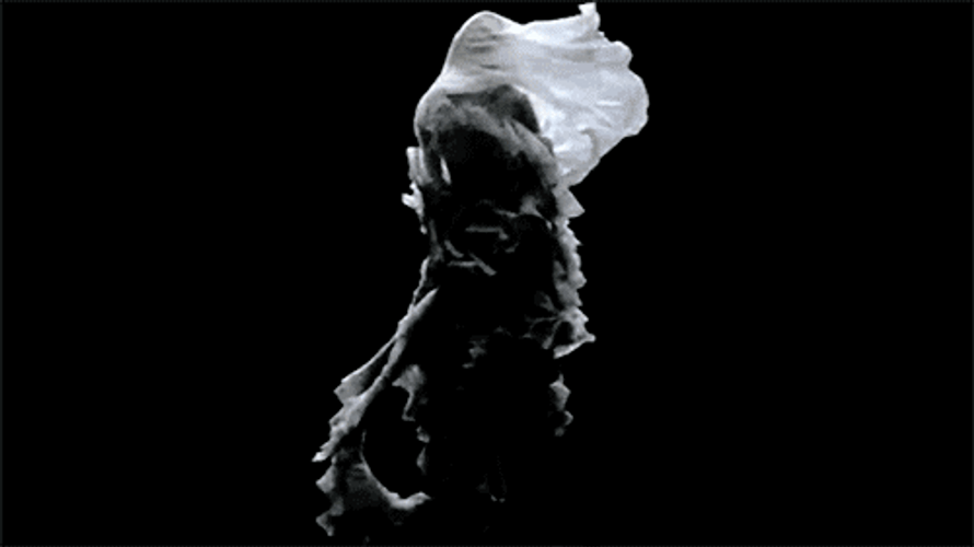 Alexander McQueen Kate Moss Hologram GIF