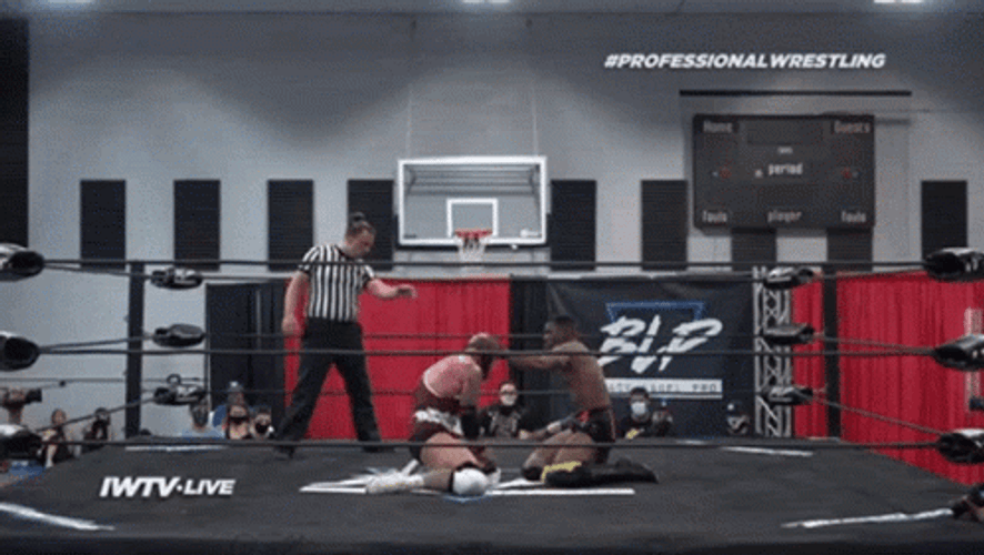 Alexander Vs. Moriarty Wrestling Match GIF