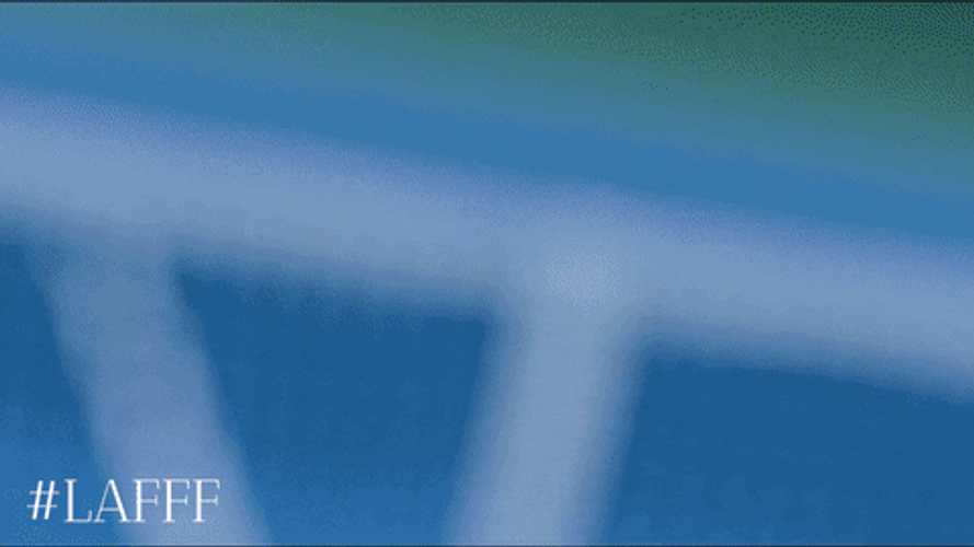 Alexander Zverev Recorded GIF
