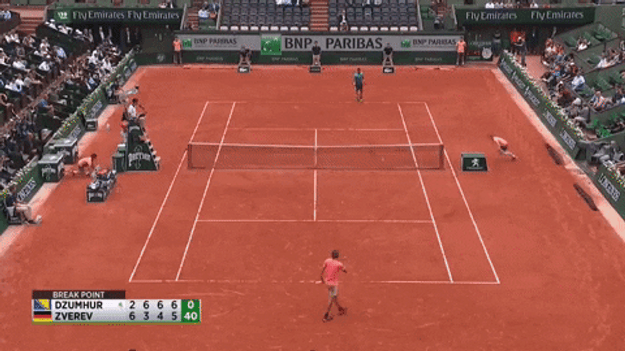 Alexander Zverev Showing His Fist GIF