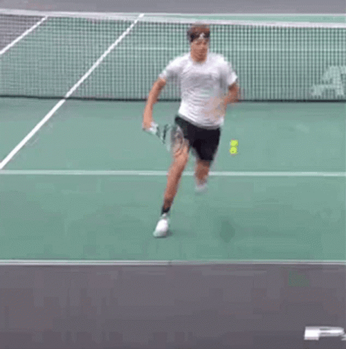 Alexander Zverev Tweener Fail GIF
