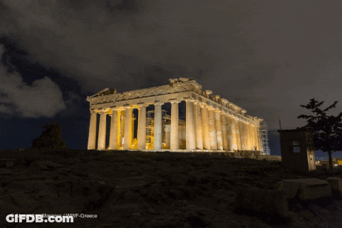 Alexandros Miragos / Wwf Greece Took GIF