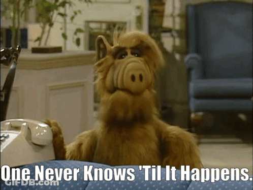 Alf From The Show Sits On A Couch Talking On A Phone With The Caption One Never Knows Til It Happens GIF