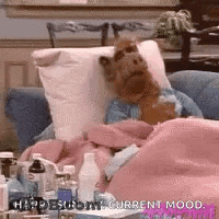 Alf From The Sitcom Alf Is Laying In A Chair With A Blanket On . GIF