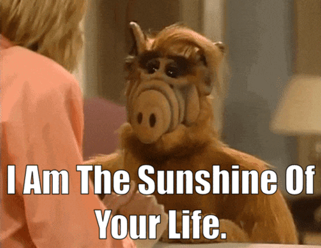 Alf I Am The Sunshine Of Your Life GIF
