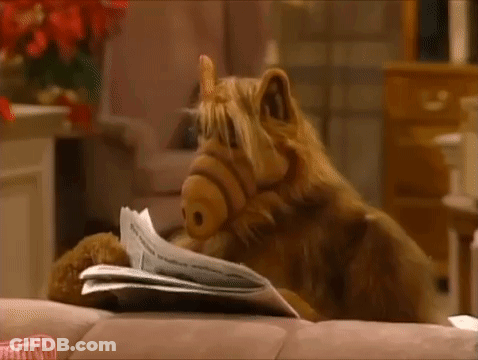 Alf Is Laying On A Couch Reading A Newspaper . GIF