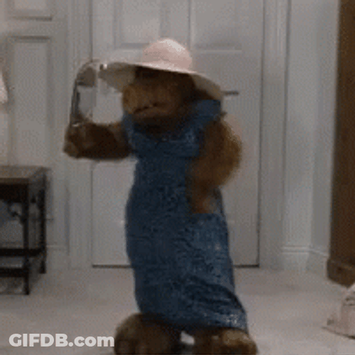Alf Looking At Mirror GIF