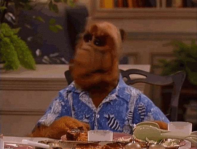 Alf Pointing To Someone GIF