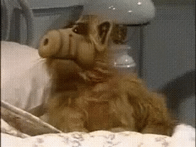 Alf Running Out Of Bed GIF