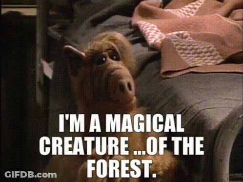 Alf Says I'm A Magical Creature Of The Forest Sitting On Bed GIF