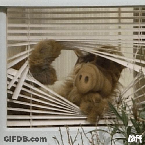 Alf Spy Through Windows GIF