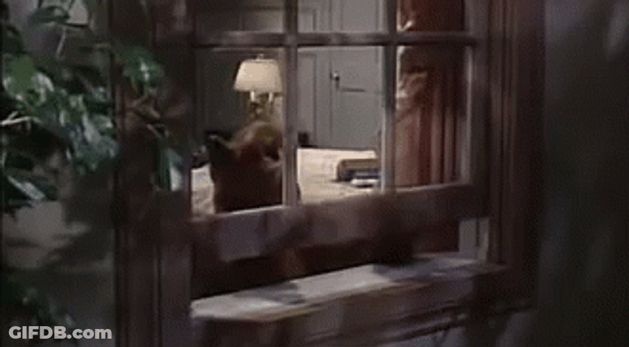 Alf Stuck On Window GIF