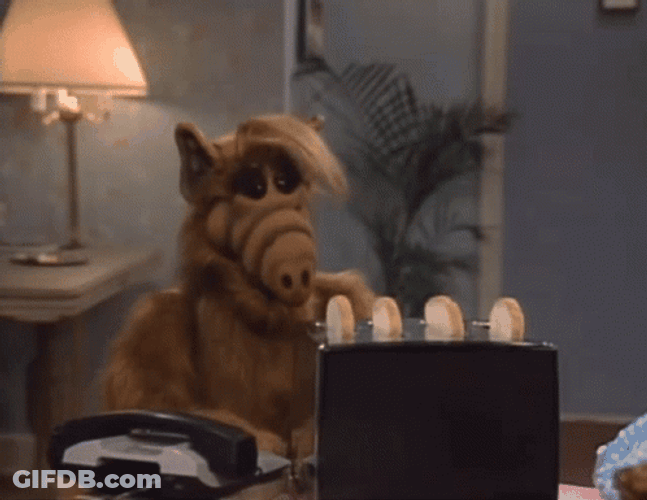 Alf Toast Bread Cooking Skills GIF
