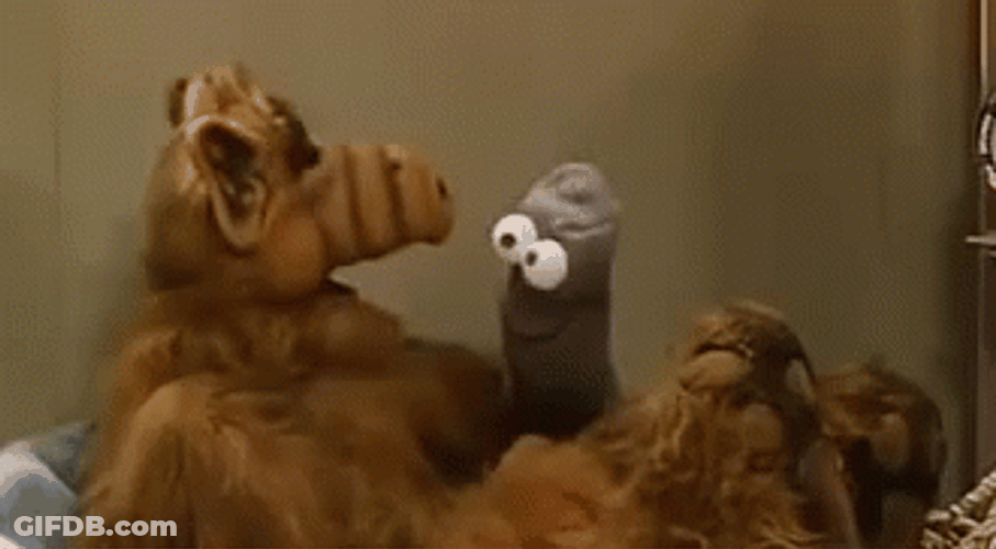 Alf Worm Puppet Hand GIF