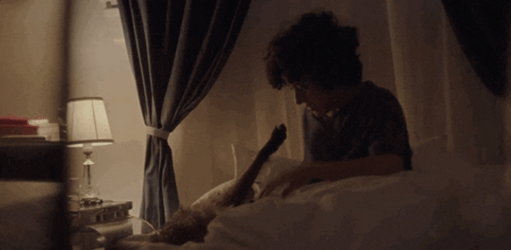 Alia Shawkat With Her Dog GIF