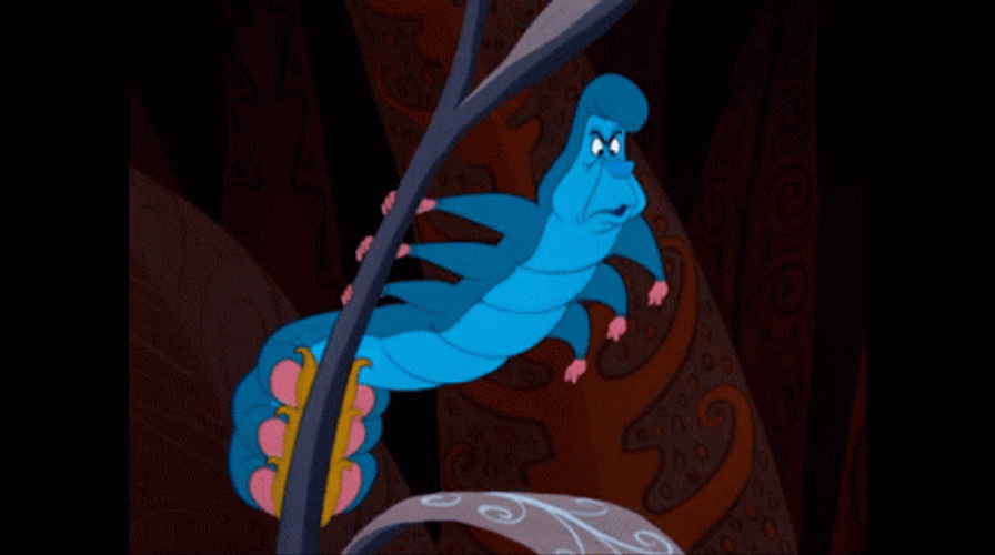Alice In Wonderland Caterpillar Wait GIF